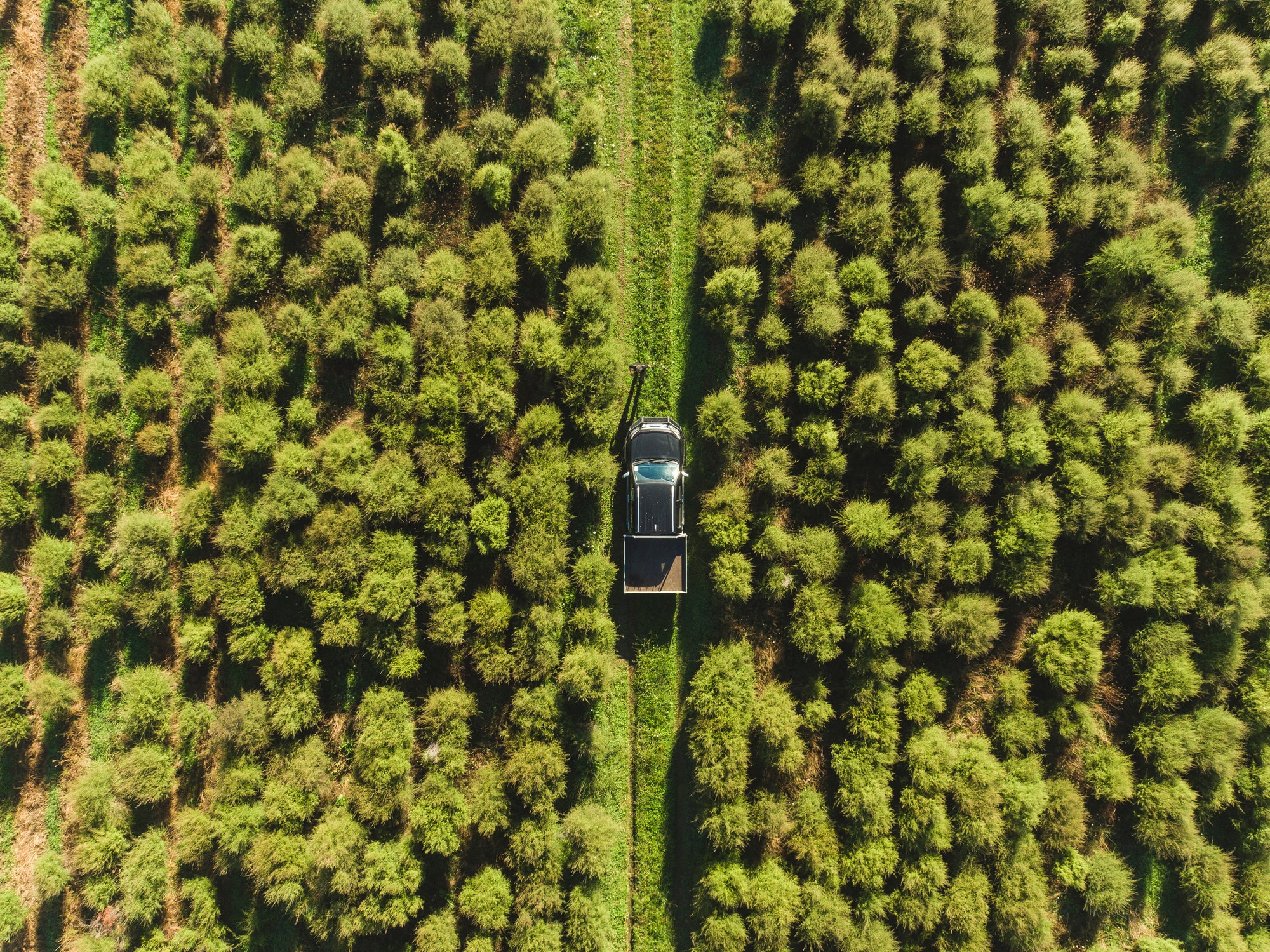 4,000 Soaps and Hand Sanitisers Donated to New Zealand Charities